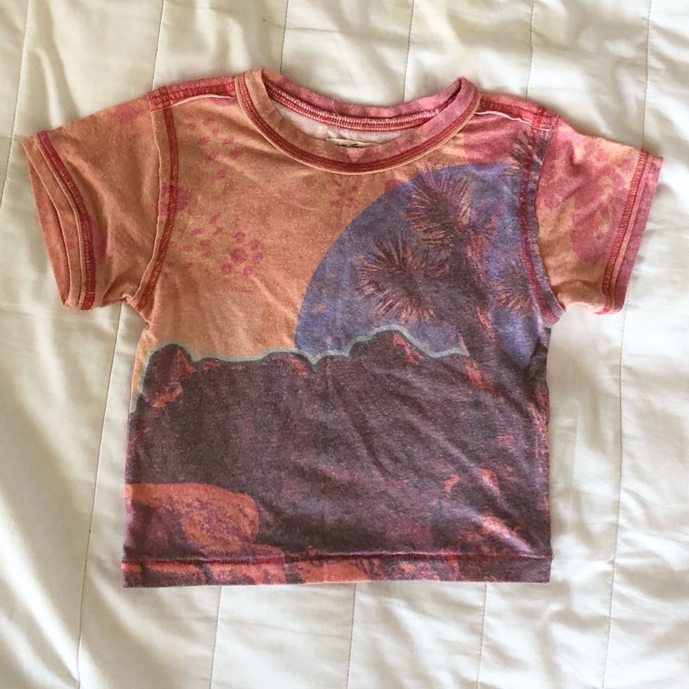 We the Free  Cropped Baby Tee